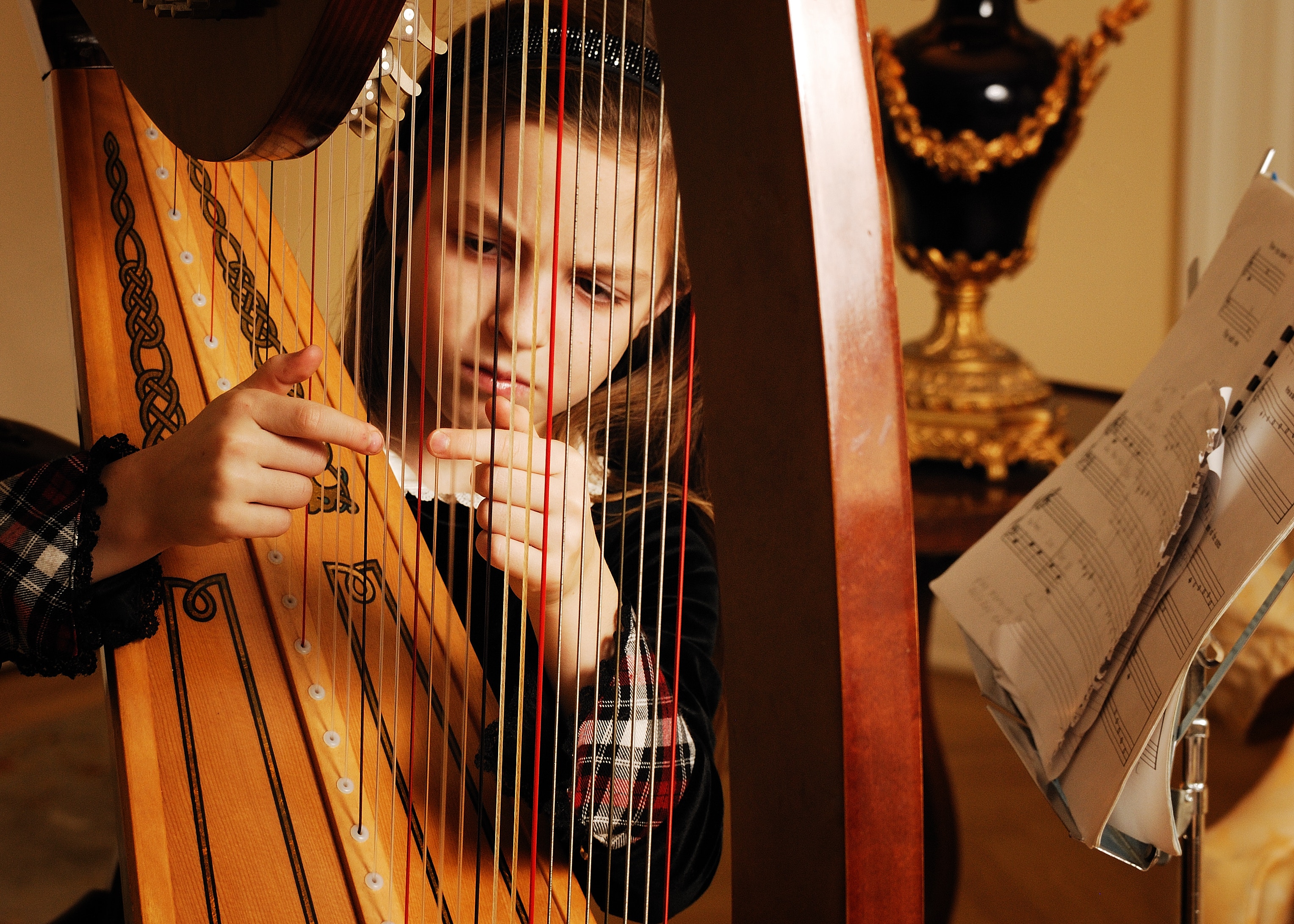 Young Irish Harpist