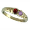 Family Colours Two Stones Ring Gold