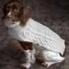 Aran Knit Merino Dog Sweater Buttoned