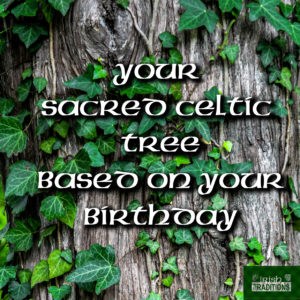 Your Celtic Tree Birthstones and Astrological Signs