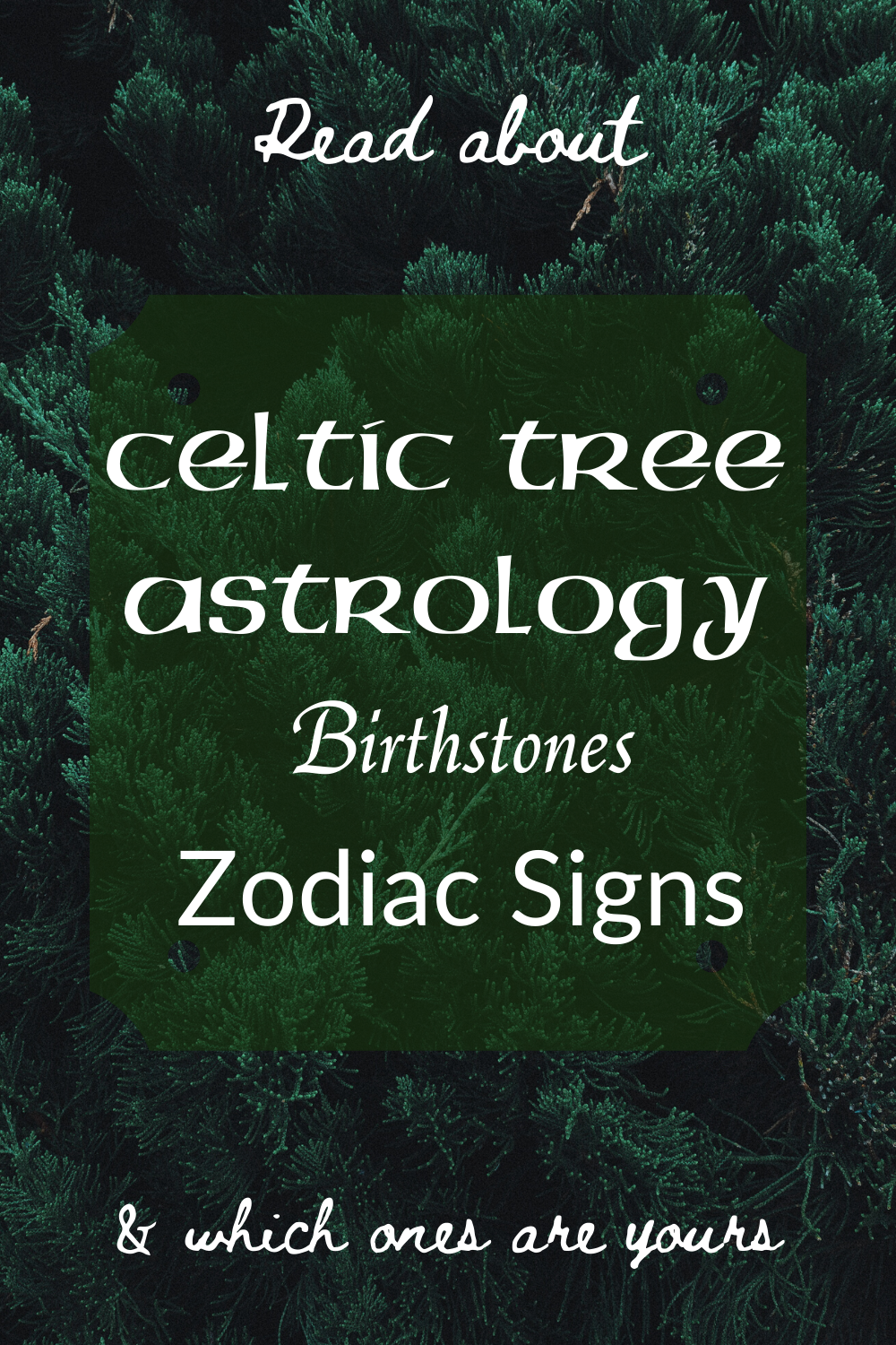 Birthstones, Zodiacs, and Celtic Tree Astrology • Irish Traditions