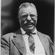 Teddy Bullmoose Roosevelt