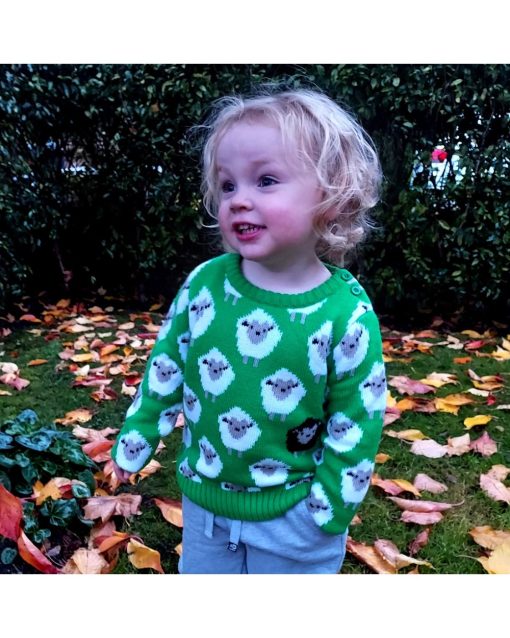 Irish Black Sheep Knit Sweater, Green - Image 4
