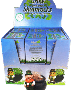 Alternative view of Grow Your Own Shamrock Plant with Pot