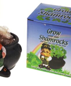 Grow Your Own Shamrock Plant with Pot