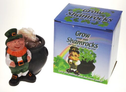 Grow Your Own Shamrock Plant with Pot
